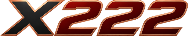 x222